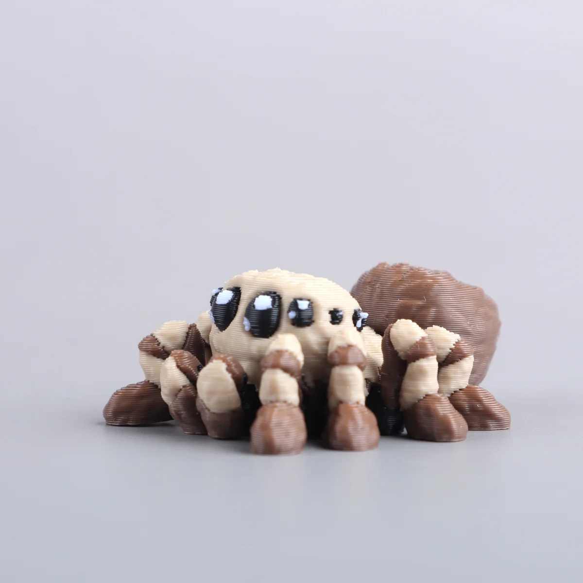 Foto da miniatura Aranha marrom