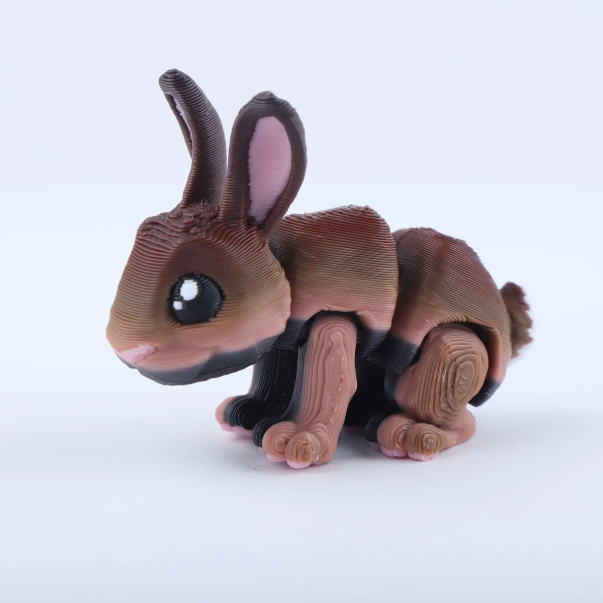 Foto da miniatura Coelho Outono