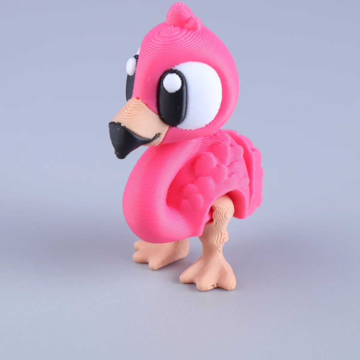 Foto da miniatura Flamingo