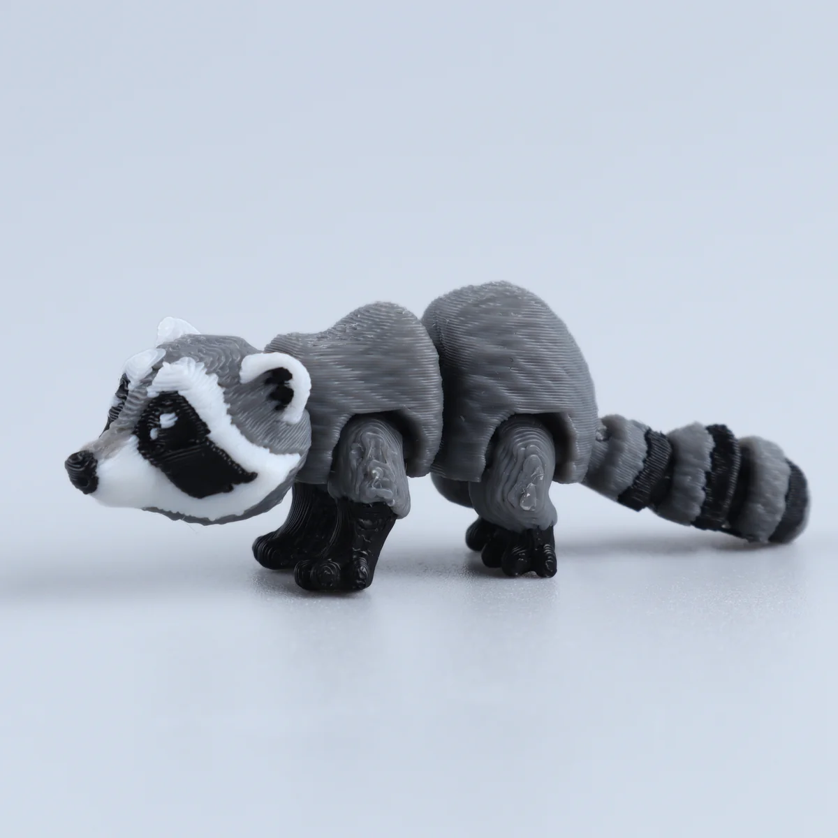 Foto da miniatura Guaxinim