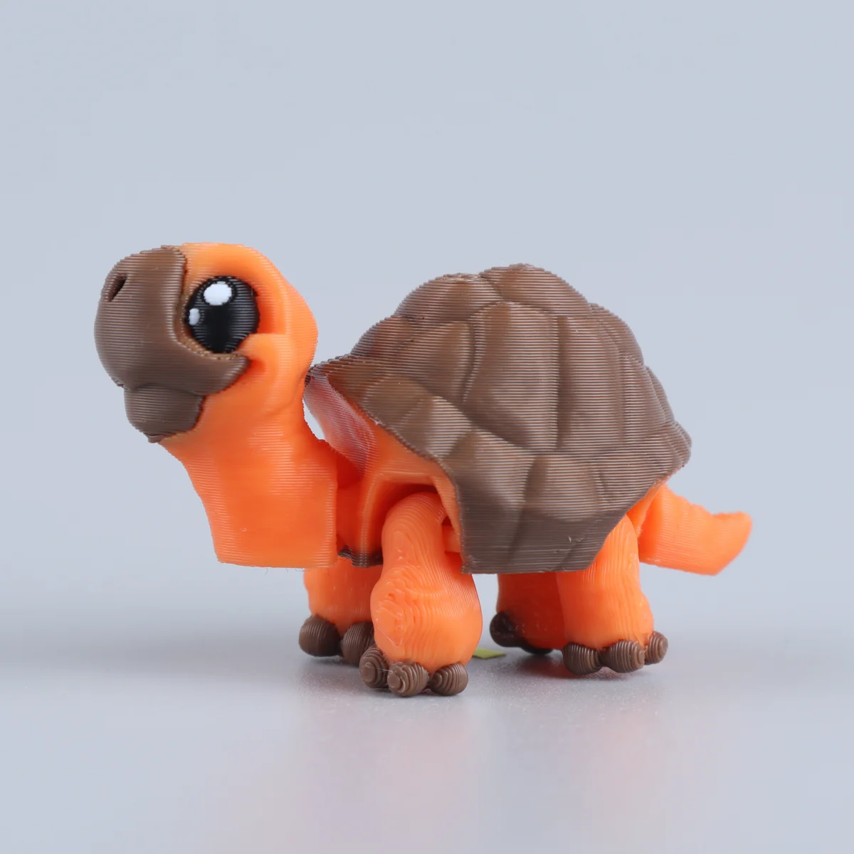 Foto da miniatura Tartaruga Laranja