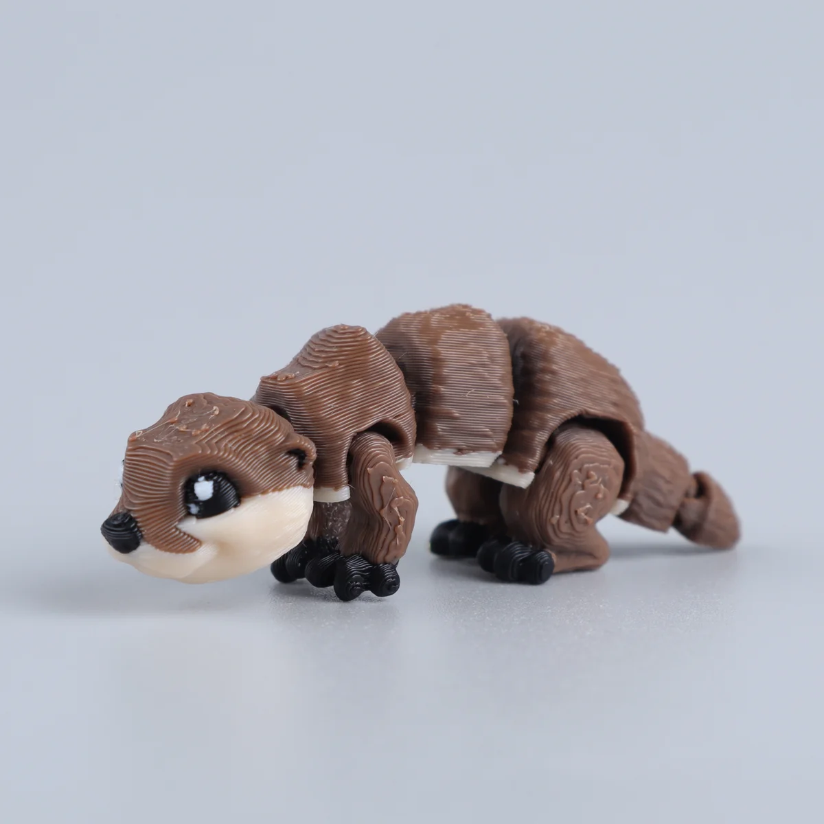 Foto da miniatura Lontra
