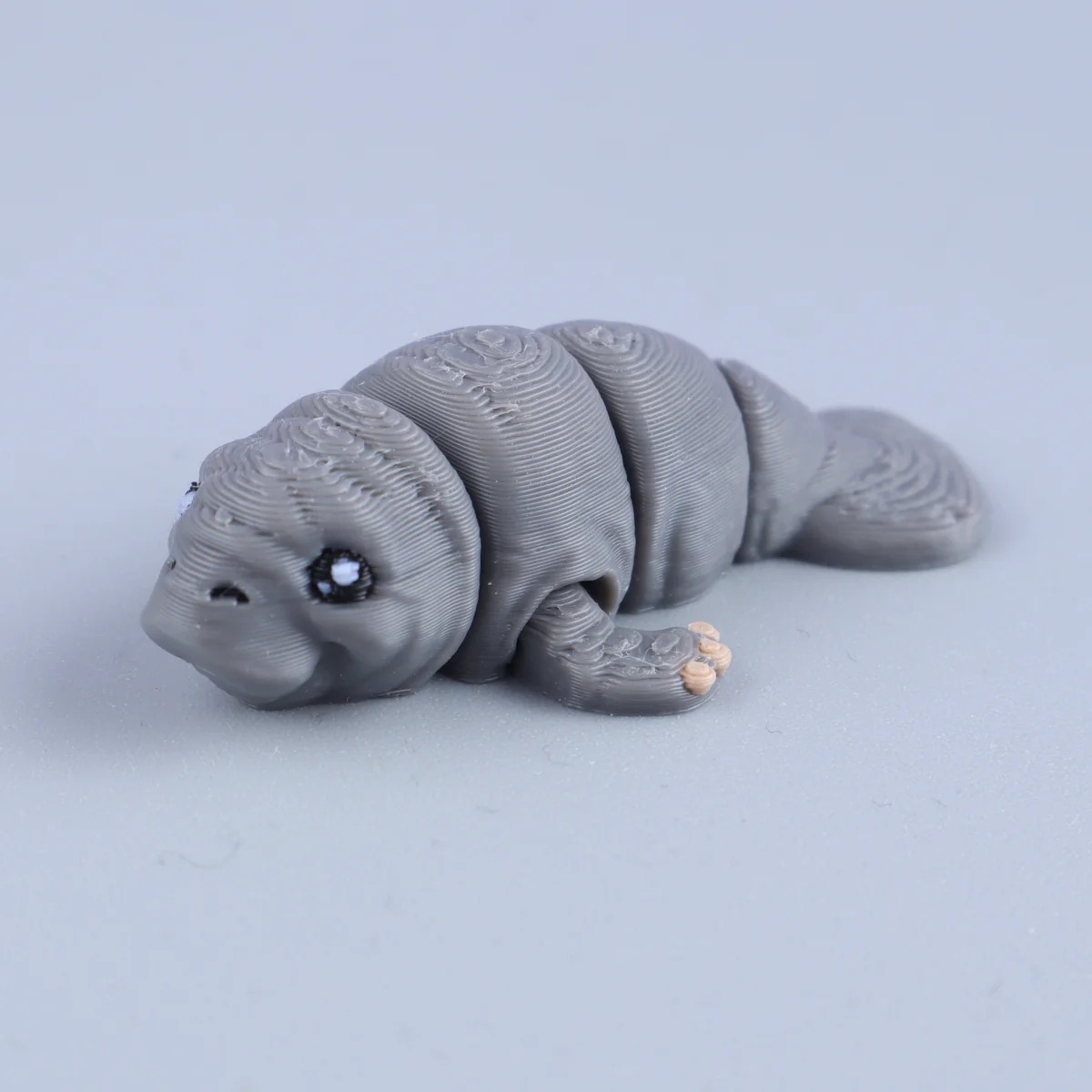 Foto da miniatura Peixe-boi