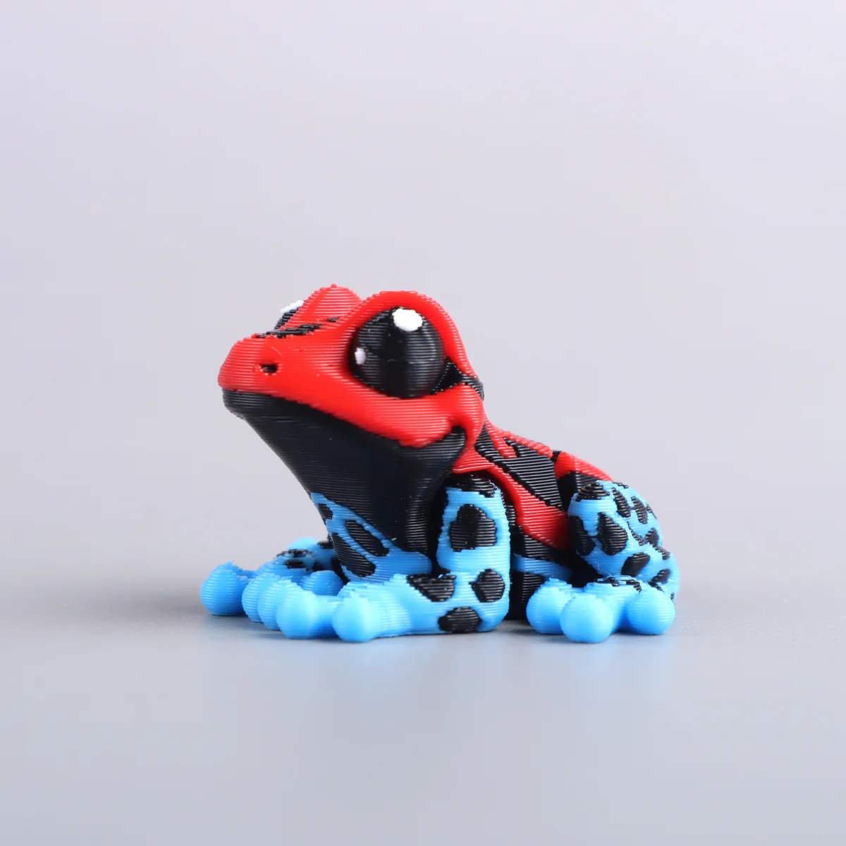 Foto da miniatura Sapo Venenoso