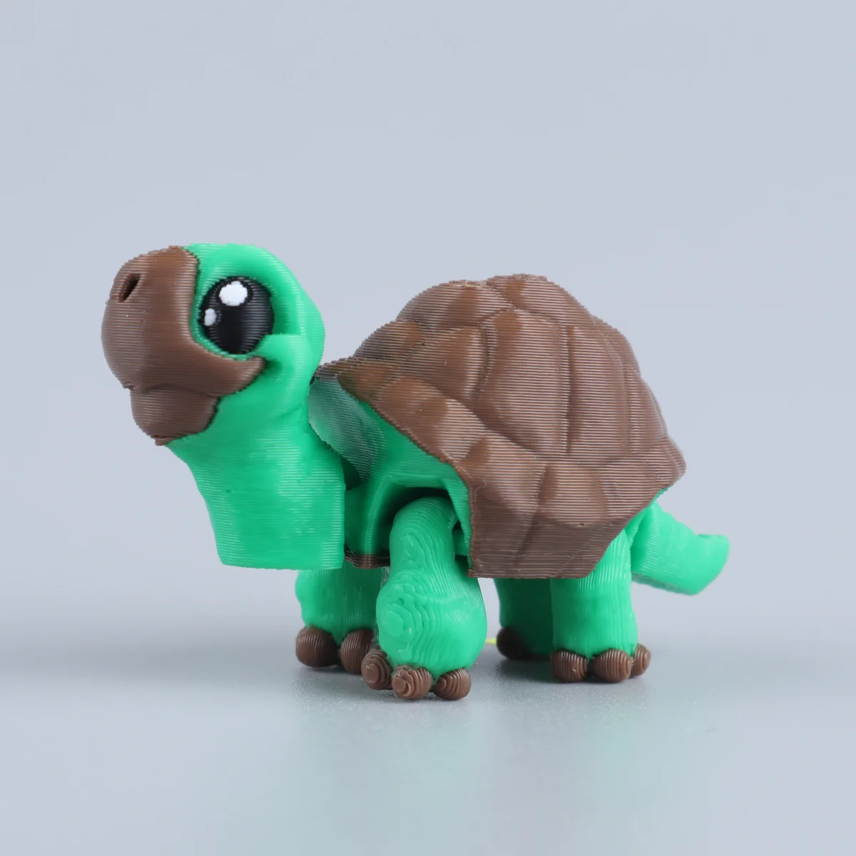 Foto da miniatura Tartaruga Verde